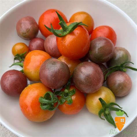 Two Quick Tips for Tomato Harvesting - Patio Produce