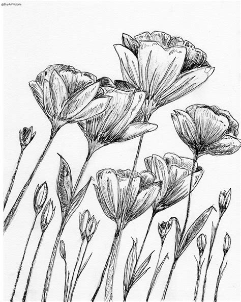 vintage flower drawing - Google Search | Classics | Pinterest | Outline art, Art techniques and ...