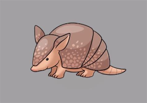 How to draw an armadillo easy step by step - Easy animals to draw ...