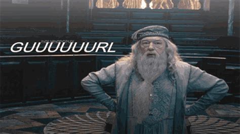 albus dumbledore gifs | WiffleGif