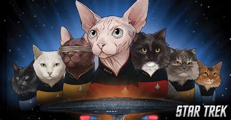 Pin by Patti Mortensen on Art | Star trek artwork, Cat illustration ...