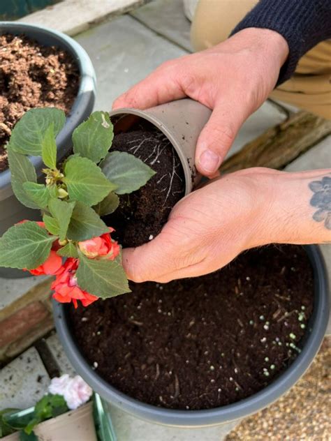 How To Plant Containers | 5 Steps To Success