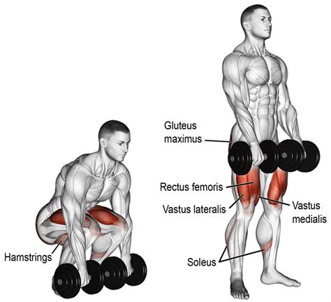 Can You Make Significant Gains With Dumbbell Deadlifts? – Fitness Volt