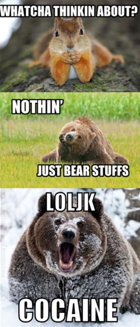 [Image - 103265] | Cocaine Bear | Know Your Meme