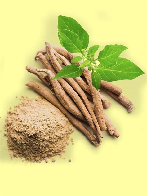 6 Powerful Health Benefits Of Ashwagandha