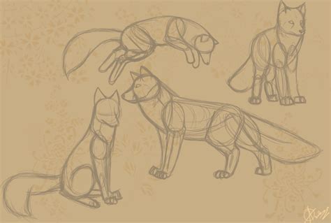 Fox Anatomy Sketches by Raoleza on DeviantArt