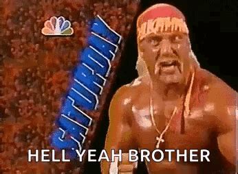 Hulk Hogan Brother GIF - Hulk Hogan Brother Saturday - Discover & Share ...