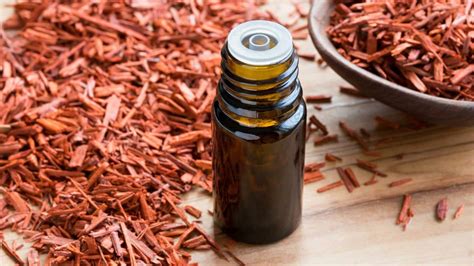 Health benefits of sandalwood oil, an Ayurvedic ingredient