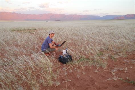 Namibia's fairy circles offer insights on arid ecosystems