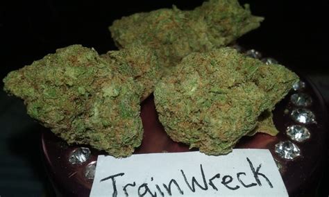 Trainwreck | Marijuana Strain Reviews | AllBud