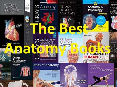 The Best Anatomy Books PDF for Medical Students | BooksDoctor