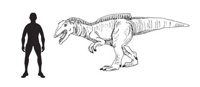 Becklespinax - An English Theropod Dinosaur