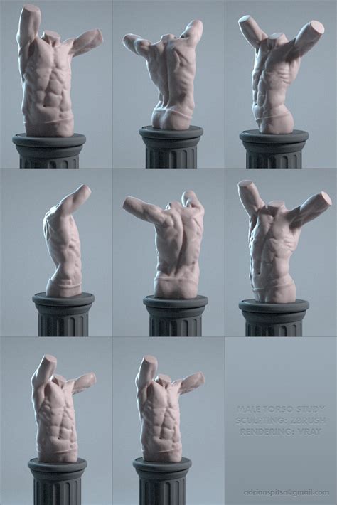 Digital Sculpting Studies | Male torso, Digital sculpting, Human anatomy