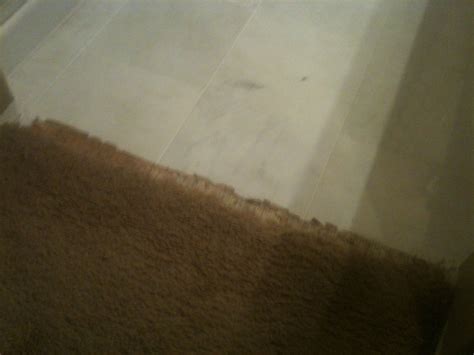 Carpet Repair, Carpet Stretching Before & After Photos