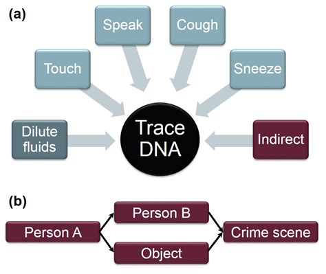 touch-dna - Loevy & Loevy