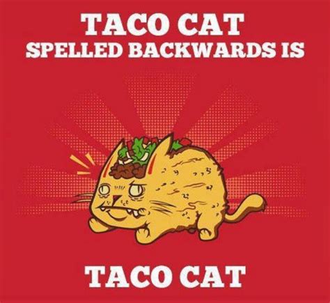 Pin by Phie on Funny phrases | Taco cat, Funny pictures, Funny