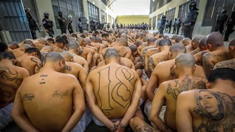 Watch: El Salvador Sends Thousands Of Tattooed Gang Members To Mega-Prison | ZeroHedge