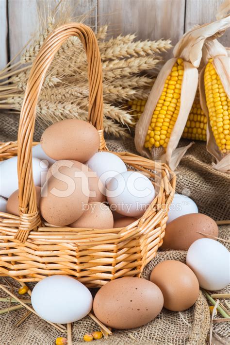 Fresh Free Range Eggs Stock Photo | Royalty-Free | FreeImages