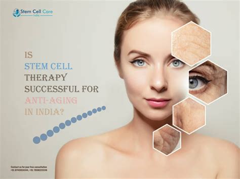 Is Stem Cell Therapy Successful For Anti-aging in India