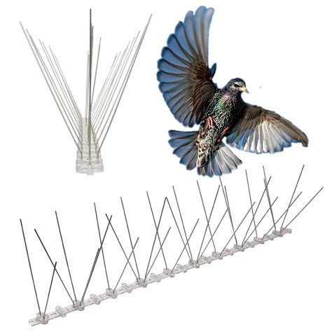 * Anti Bird Spikes - Non Lethal & Environmentally Friendly | Buy Online