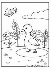 Duck Coloring Pages Updated 2021 sketch template
