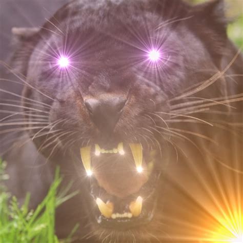 Panther Roar Scare Sounds - Apps on Google Play