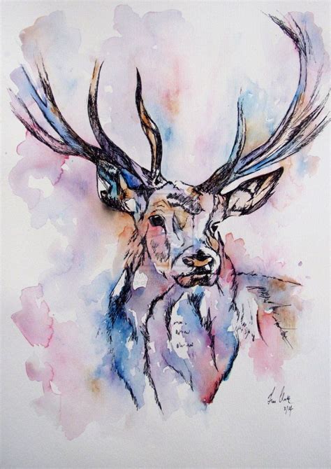 watercolor images of deer | Einhorn zeichnung, Malen und zeichnen ...