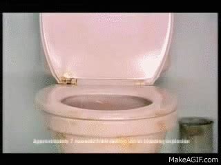 The Toilet Grenade on Make a GIF