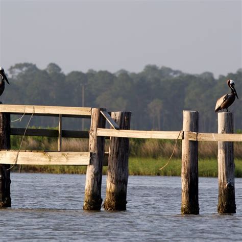 Boat Tours of Alabama's Mobile Bay | USA Today