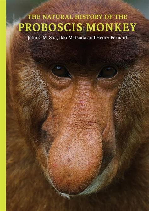 The Natural History of the Proboscis Monkey - Natural History Publications (Borneo)