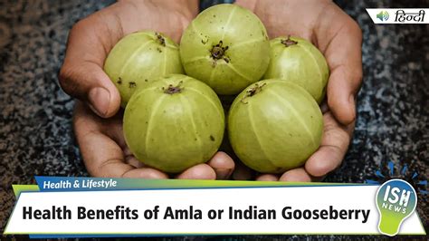 Health Benefits of Amla or Indian Gooseberry | ISH News - YouTube