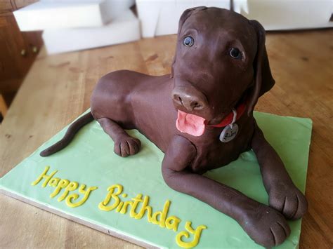 Chocolate Labrador Cake - The Great British Bake Off | The Great ...