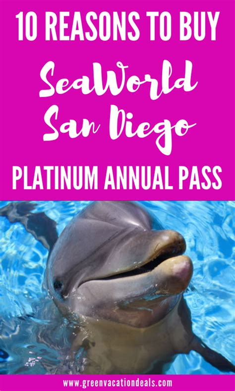 10 Reasons to Buy SeaWorld San Diego Platinum Annual Pass | Southern ...