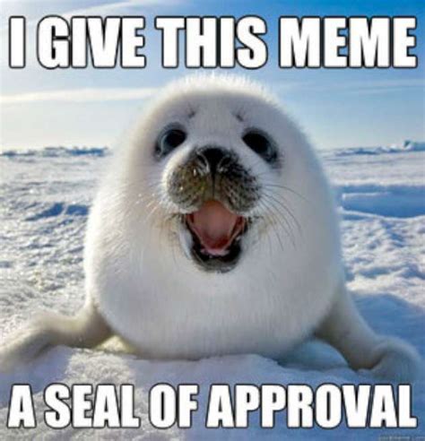 19 Very Funny Seal Meme That You Never Seen Before - MemesBoy