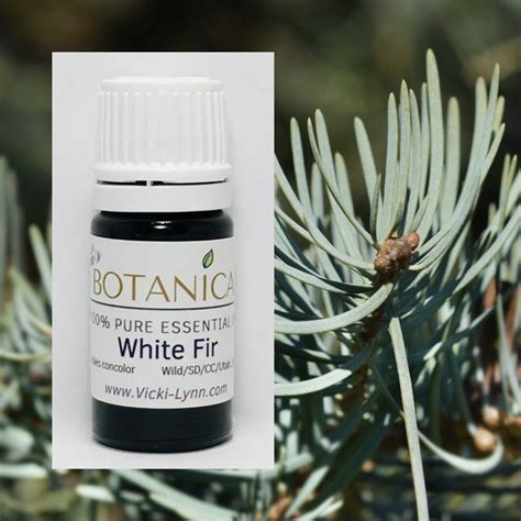 White Fir Essential Oil