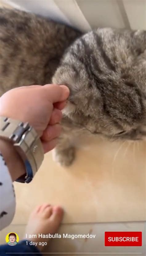 Hasbulla Cat Abuse Video Goes Viral, His Medical Condition