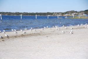 Discover 12 Fun Things To Do In Clermont FL and Lake County