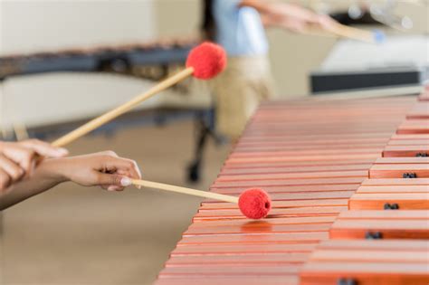 Xylophone Pictures | Download Free Images on Unsplash