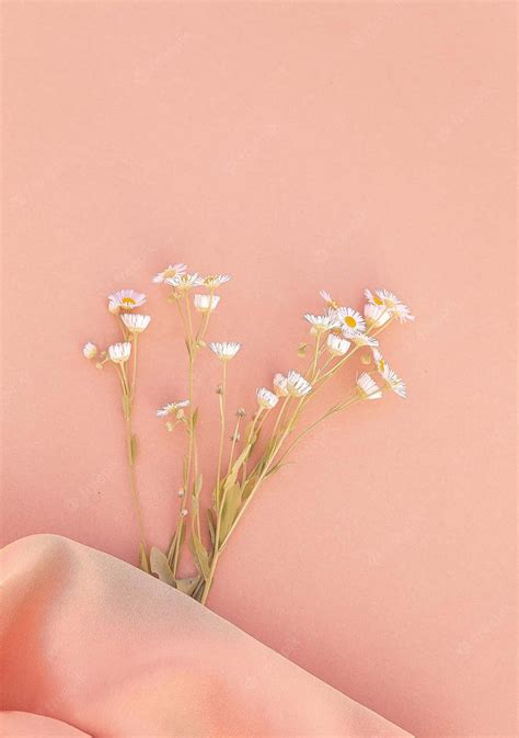 Download Tiny Daisy Flowers Pink Aesthetic Background | Wallpapers.com