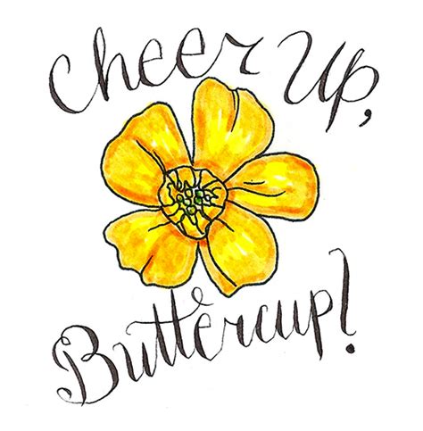 Cheer up, buttercup! | Pretty words, Buttercup quotes, Buttercup flower