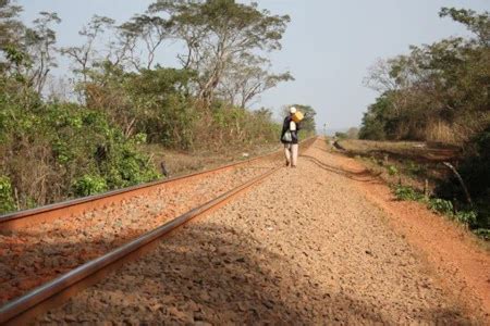 LARAP of the early works for the railway of the Simandou Mining Project ...