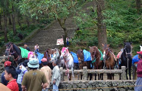 Wright Park in Baguio City ~ She Wanders24