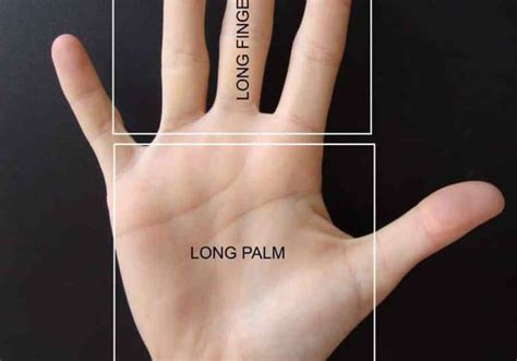 Water Hand Shape in Palmistry - Destiny Palmistry