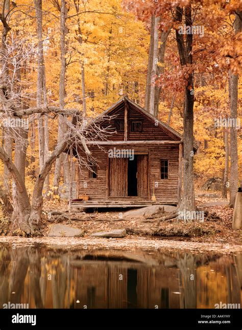 WOODS FOREST CABIN HOUSE SECLUDED LAKE Stock Photo - Alamy