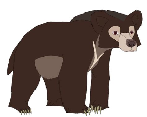 Sloth Bear by Patchi1995 on DeviantArt