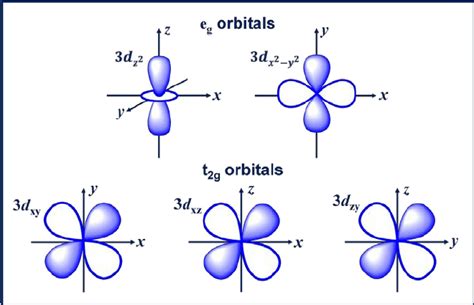 Five d -orbitals in a cubic crystal field which split into two e g... | Download Scientific Diagram