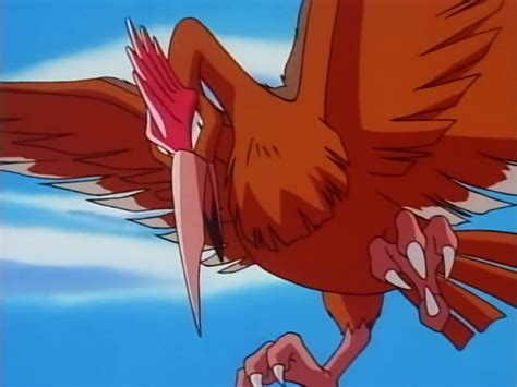 Fearow (anime) | Pokémon Wiki | Fandom