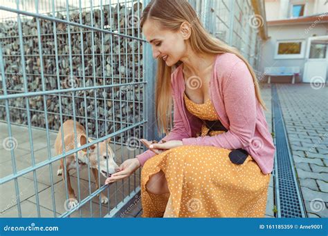 Woman Petting a Dog in the Animal Shelter Stock Image - Image of german, caucasian: 161185359