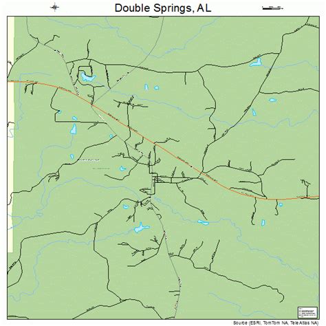 Double Springs Alabama Street Map 0121280