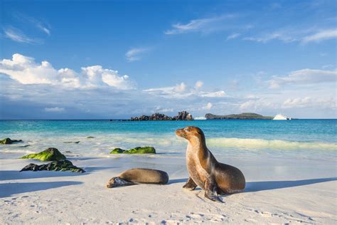 Dream Vacations in The Galapagos Islands | Tourlane